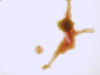 2012-08-29 23:32:13 写真1