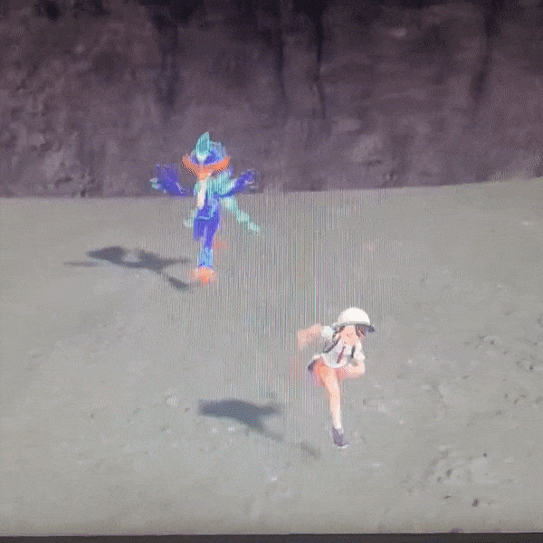 悲報 クワッス ガチのマジで不人気 アルセウス速報 ポケモンまとめサイト