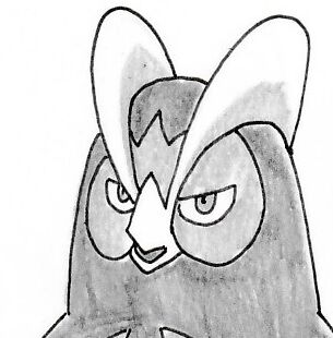 44