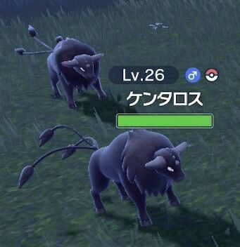 fu2793881