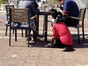 20190202_123405