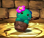 【パズドラ】ECO上級サボテン落ちなさすぎ!!3周もしたのにどうなってんだよ!!