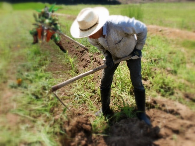 【パズドラ】ヴリトラとインドラの劣化でヴァルキリーたちの究極進化にも不安の声が・・・