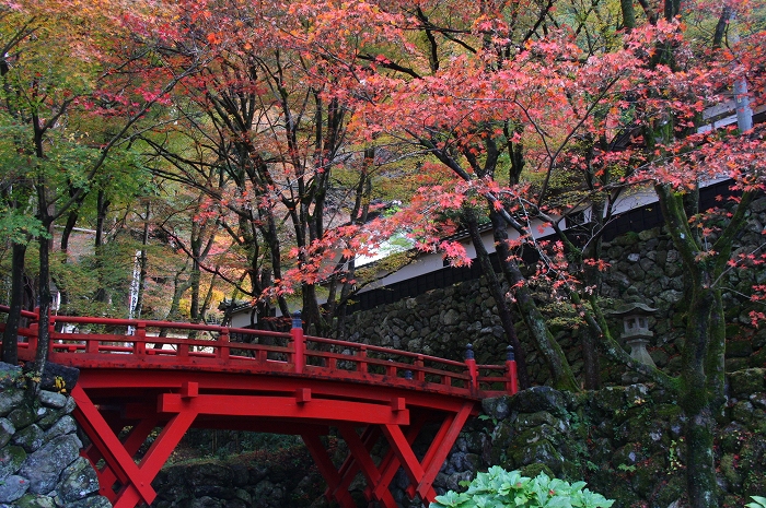 横蔵寺に行ってきました 岐阜県揖斐川町 寄る辺ない旅のブログ