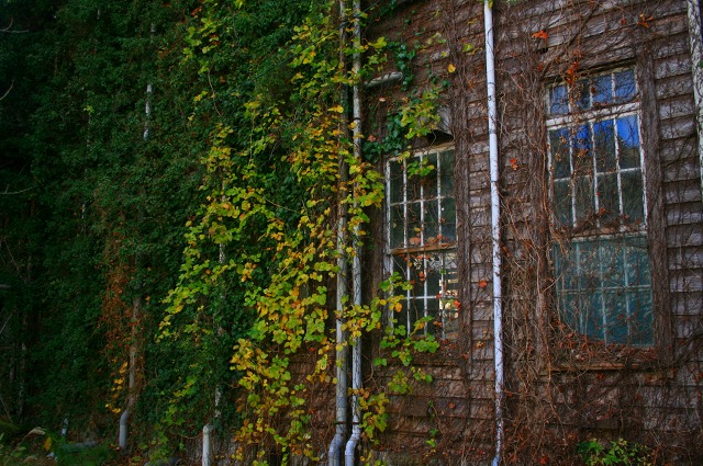 IMG_33392
