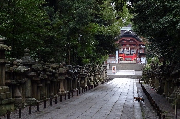 石清水八幡宮に行ってきました 京都府八幡市 寄る辺ない旅のブログ 石清水八幡宮に行ってきました 京都府八幡市 寄る辺ない旅のブログ
