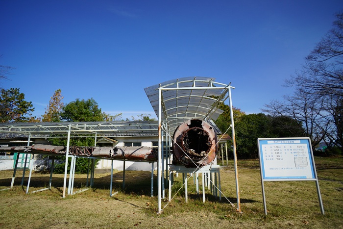 DSC00696