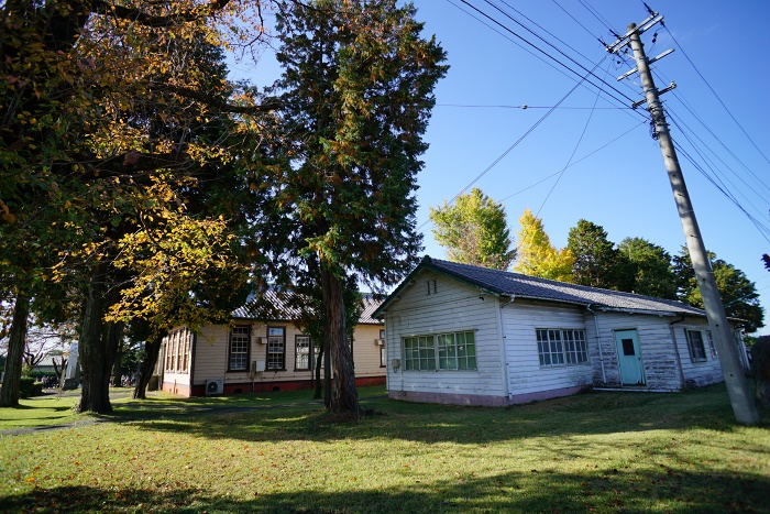 DSC00691