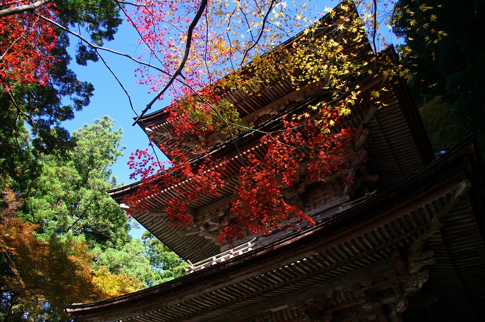 横蔵寺に行ってきました 岐阜県揖斐川町 寄る辺ない旅のブログ
