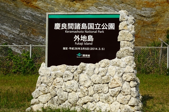 イメージ 10