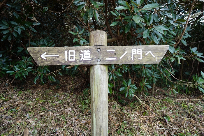 41
