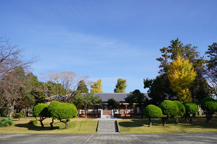 DSC00671