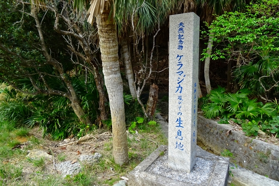 イメージ 15