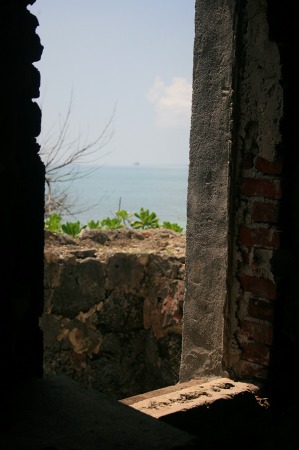IMG_88662