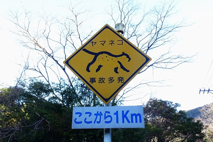 韓国展望所に行ってきました 長崎県対馬市 寄る辺ない旅のブログ