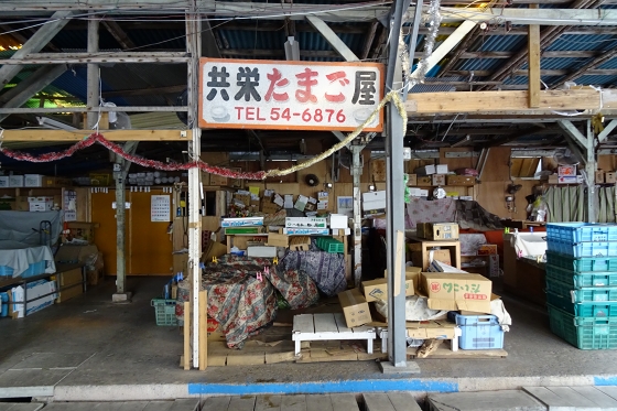 イメージ 12