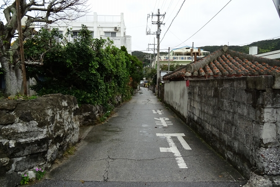 イメージ 9