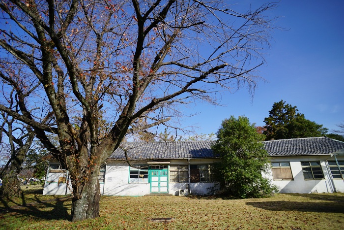 DSC00699