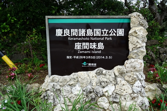 イメージ 10