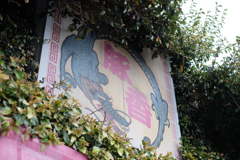 DSCF5209