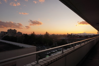 DSC00333