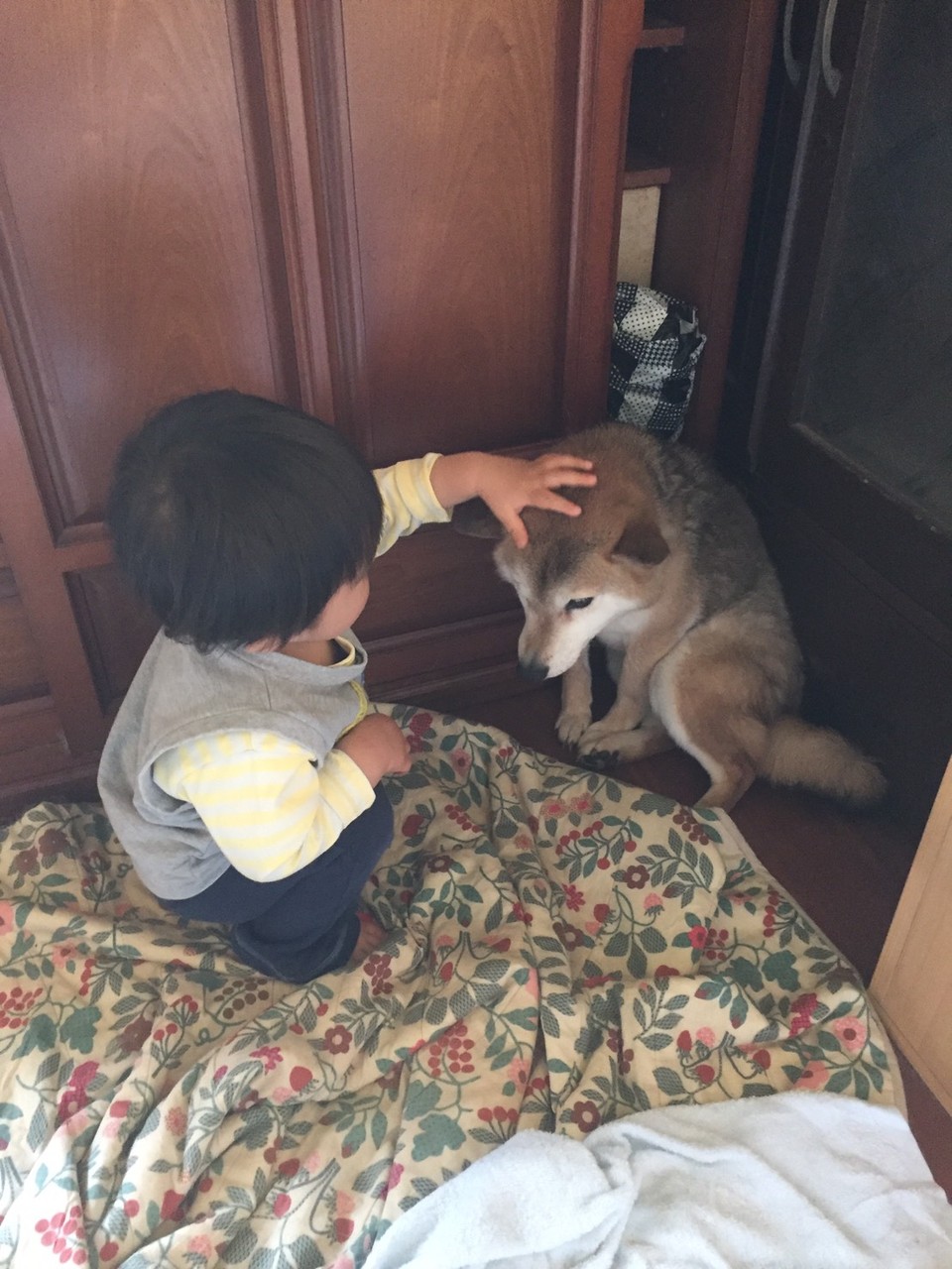犬と子ども Soft Voiceのブログ