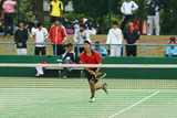 kDSC02239