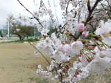 CIMG0964