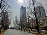 CIMG4896