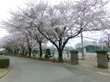 CIMG0969