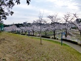 P1010583