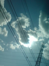 aa613456.jpg