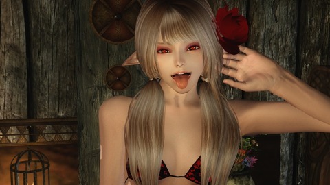 hentai_skyrim-game-スカイリム_pornpic23