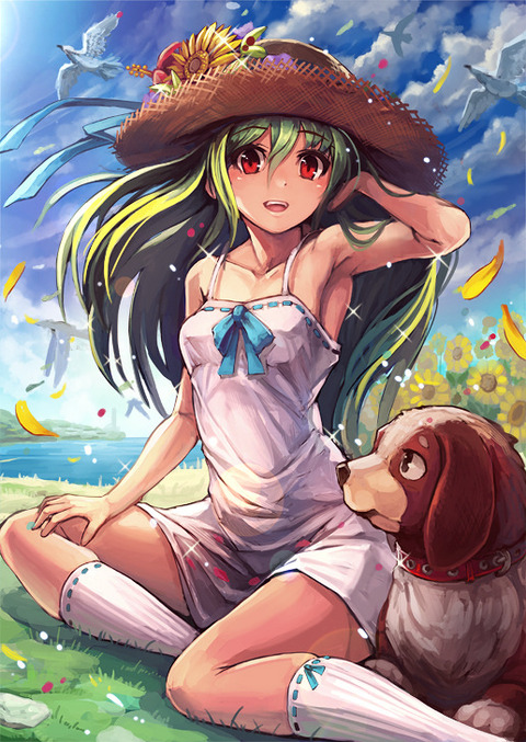 hentai_straw_hat53