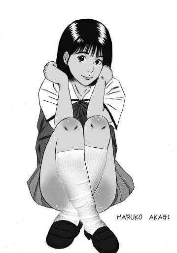 hentai_赤木晴子-スラムダンク_illustration23