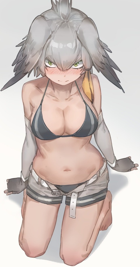 hentai_shoebill6