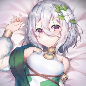 hentai_princess connect47