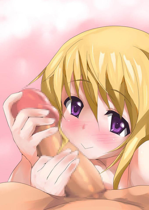 hentai_chinmise11