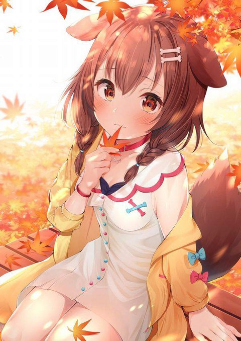 hentai_v_inugamikorone13