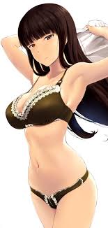 hentai_girls-panzer_shiho10