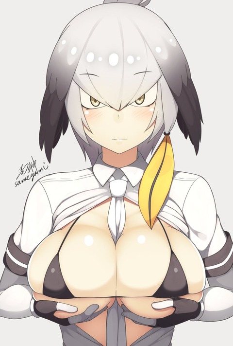 hentai_shoebill27