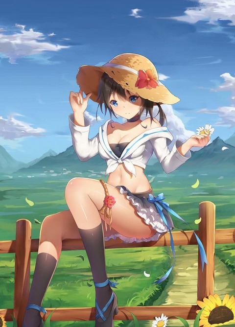 hentai_straw_hat34