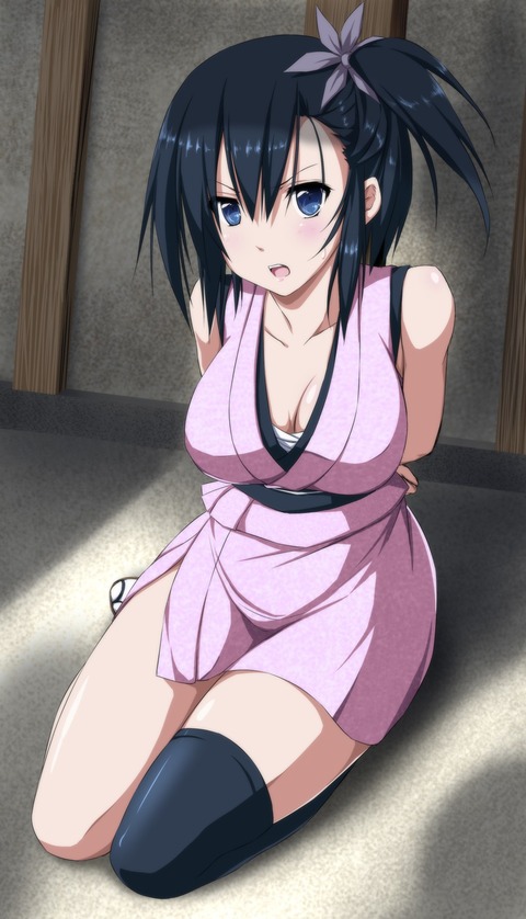 hentai_くノ一_kunoichi_pornpic261