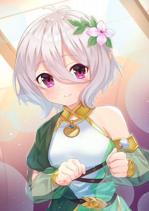 hentai_princess connect61