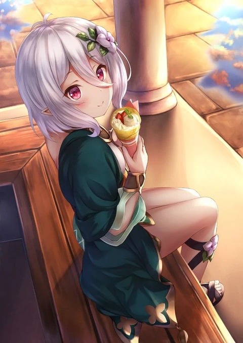 hentai_princess connect58