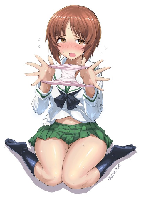 hentai_nishizumi_miho31