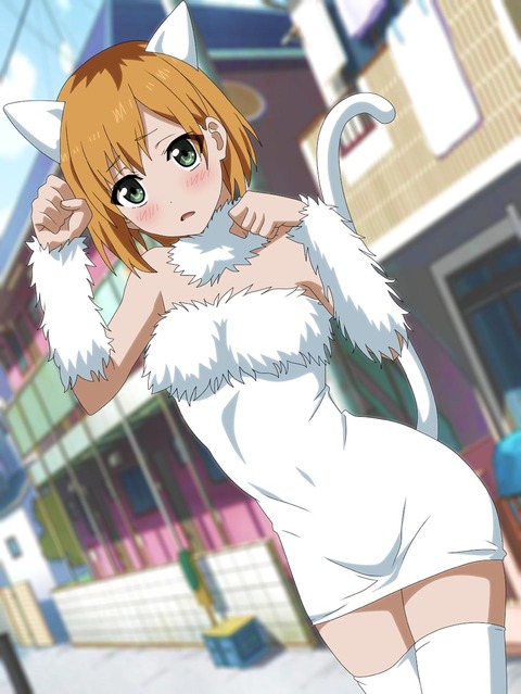 hentai_SHIROBAKO60