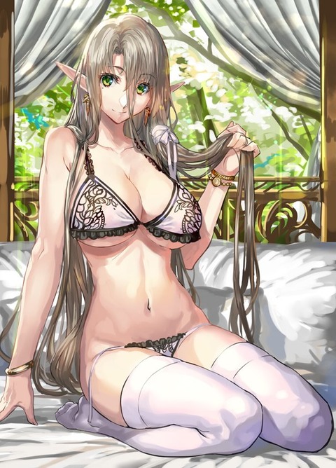 hentai_elf_beauty4
