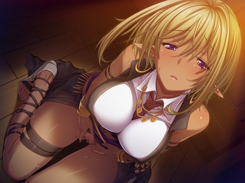 hentai_elf_beauty17