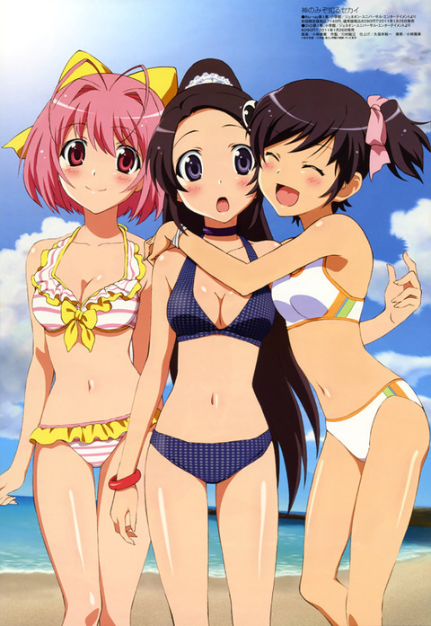 （水着）ビキニの女の子のぬける画像１４ 3